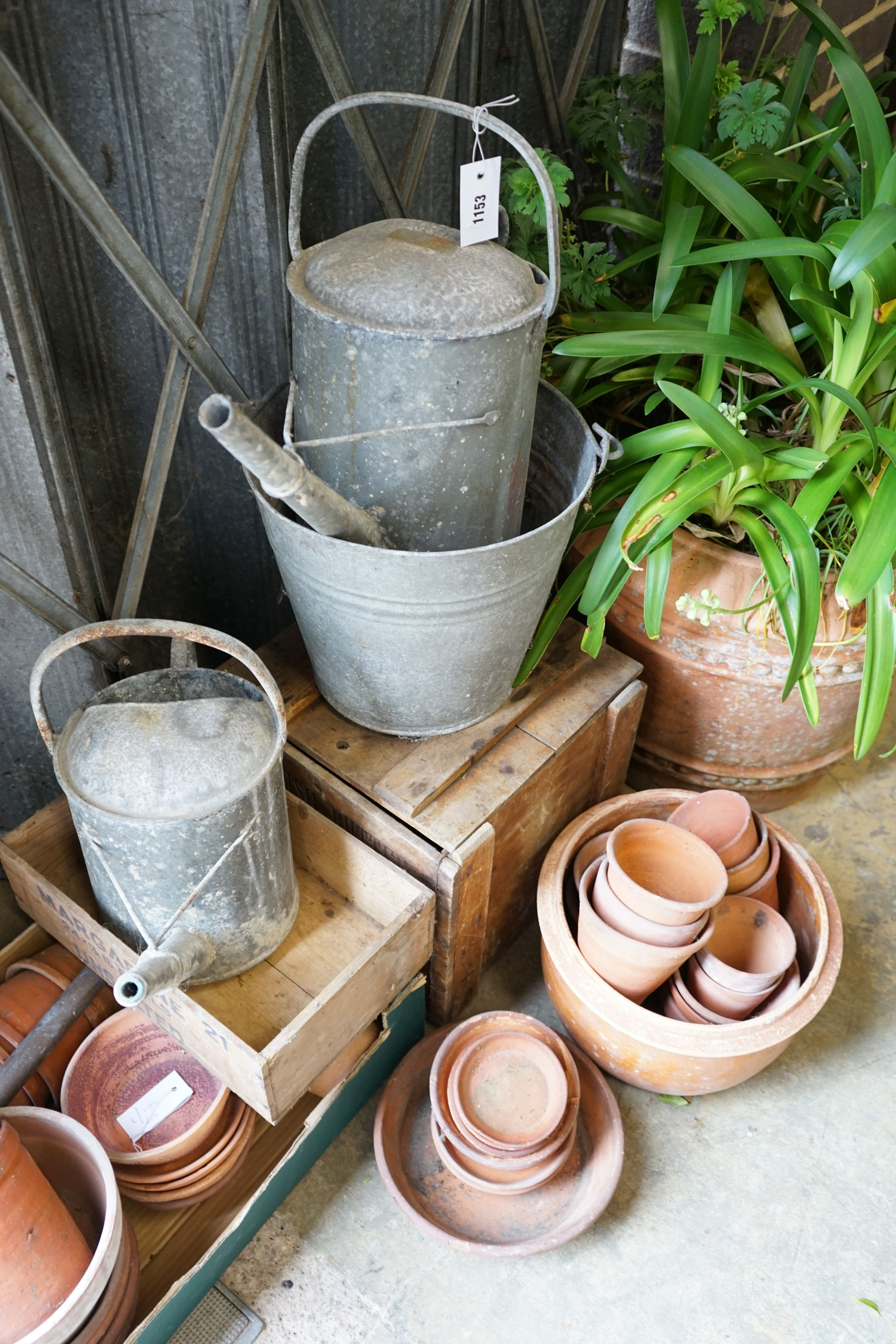 A quantity of vintage terracotta pots, two galvanised cans, bucket and two wood crates